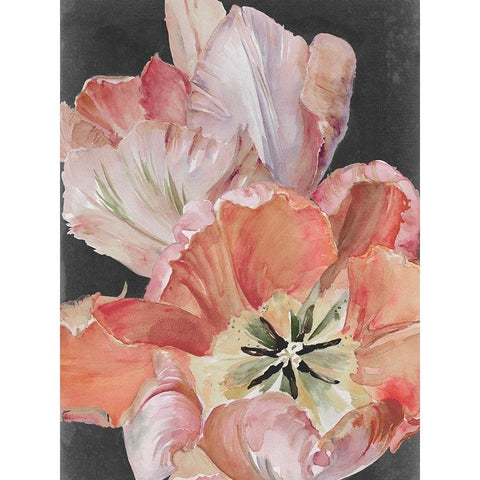 Pastel Parrot Tulips I White Modern Wood Framed Art Print by Parker, Jennifer Paxton