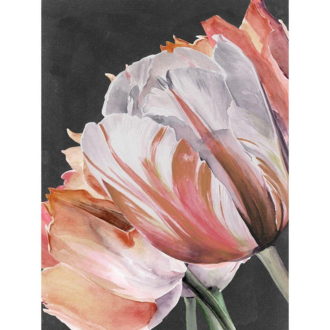 Pastel Parrot Tulips III White Modern Wood Framed Art Print by Parker, Jennifer Paxton