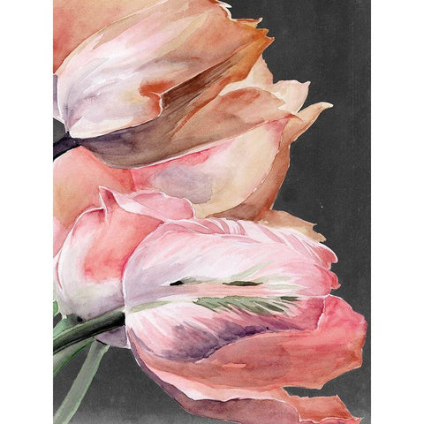 Pastel Parrot Tulips IV Black Modern Wood Framed Art Print with Double Matting by Parker, Jennifer Paxton