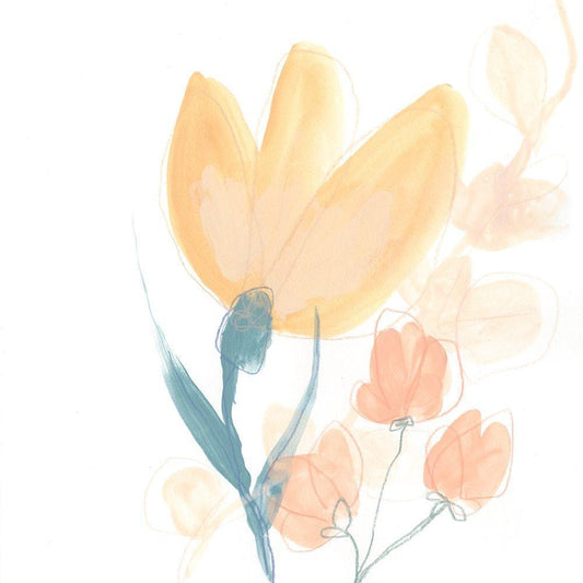 Image Only