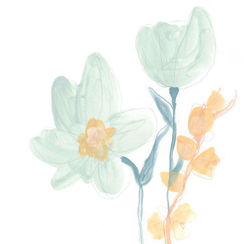 Petite Petals IX Black Modern Wood Framed Art Print by Vess, June Erica