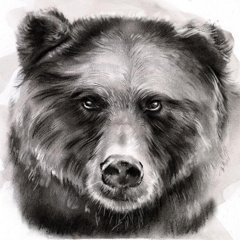 Bear Grin I White Modern Wood Framed Art Print with Double Matting by Parker, Jennifer Paxton