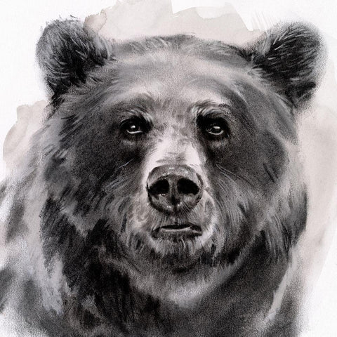 Bear Grin II White Modern Wood Framed Art Print with Double Matting by Parker, Jennifer Paxton