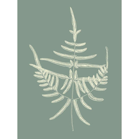 Ferns on Sage I White Modern Wood Framed Art Print by Vision Studio