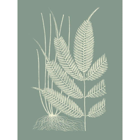 Ferns on Sage II Gold Ornate Wood Framed Art Print with Double Matting by Vision Studio