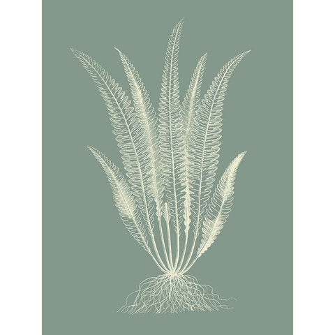 Ferns on Sage IV Gold Ornate Wood Framed Art Print with Double Matting by Vision Studio