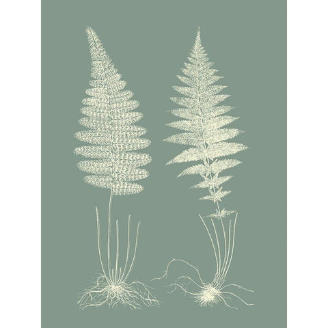 Ferns on Sage VI White Modern Wood Framed Art Print by Vision Studio