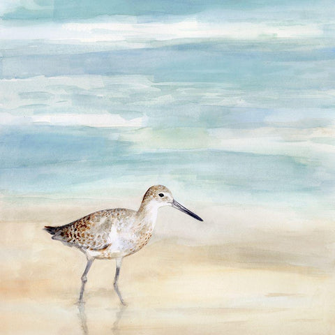 Speckled Willet I Black Modern Wood Framed Art Print with Double Matting by Borges, Victoria