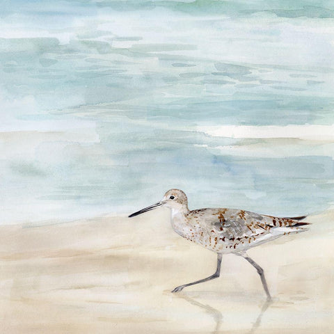 Speckled Willet II White Modern Wood Framed Art Print with Double Matting by Borges, Victoria