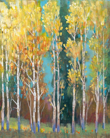 Aspen Grove I White Modern Wood Framed Art Print with Double Matting by OToole, Tim