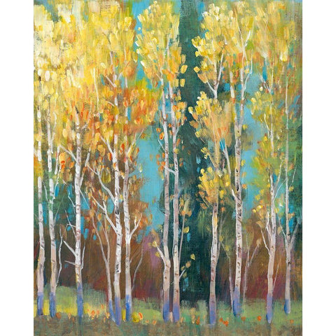 Aspen Grove I Gold Ornate Wood Framed Art Print with Double Matting by OToole, Tim