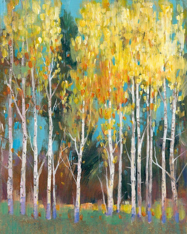 Aspen Grove II Black Ornate Wood Framed Art Print with Double Matting by OToole, Tim