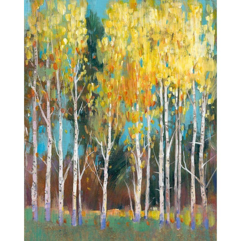 Aspen Grove II White Modern Wood Framed Art Print by OToole, Tim