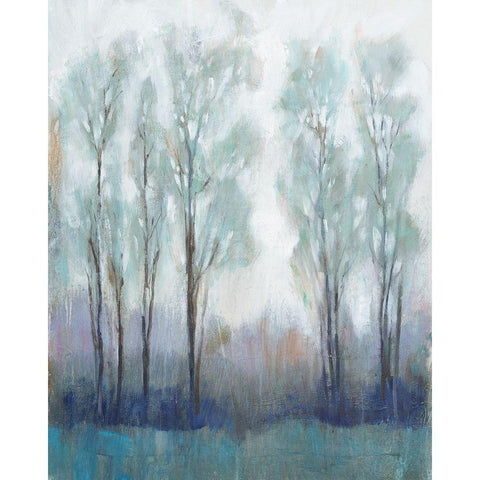 Through the Clearing II White Modern Wood Framed Art Print by OToole, Tim