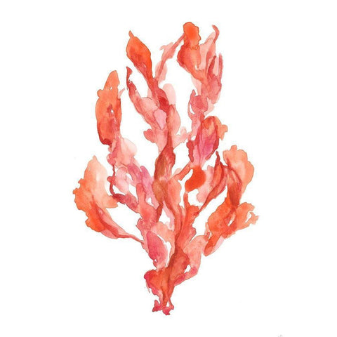 Coral Kelp II White Modern Wood Framed Art Print by Goldberger, Jennifer