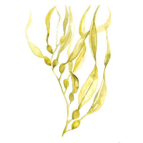 Olive Sea Kelp I White Modern Wood Framed Art Print by Goldberger, Jennifer