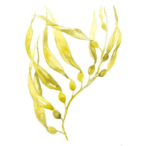 Olive Sea Kelp II Gold Ornate Wood Framed Art Print with Double Matting by Goldberger, Jennifer