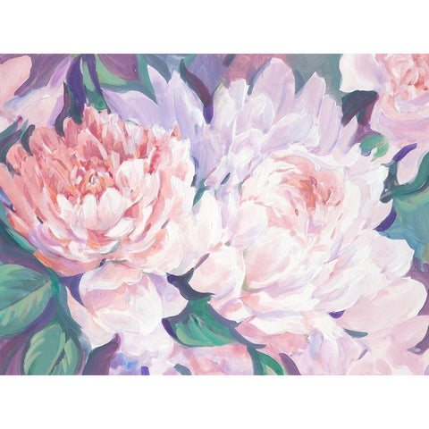 Peonies in Bloom I Black Modern Wood Framed Art Print with Double Matting by OToole, Tim