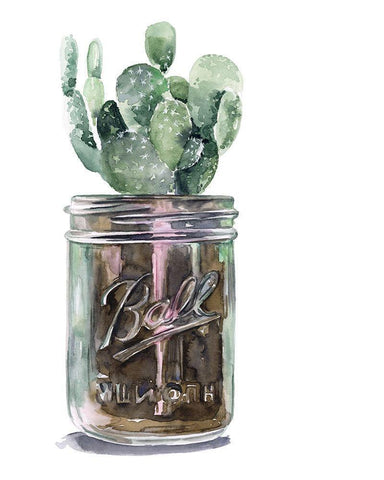 Cactus Mason Jar II Black Ornate Wood Framed Art Print with Double Matting by Parker, Jennifer Paxton