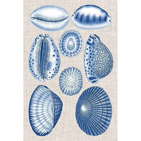 Navy and Linen Shells I Gold Ornate Wood Framed Art Print with Double Matting by Vision Studio