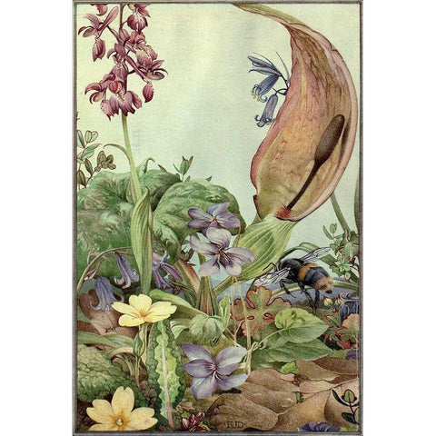 Garden Fantasy II White Modern Wood Framed Art Print by Unknown