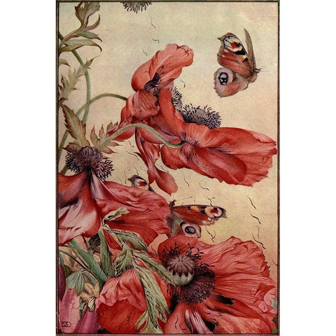 Garden Fantasy III Black Modern Wood Framed Art Print by Unknown