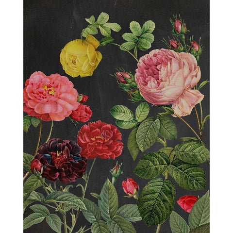 Redoutes Bouquet II Black Modern Wood Framed Art Print with Double Matting by Redoute, Pierre