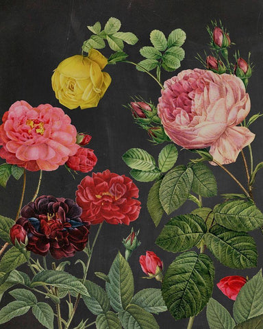 Redoutes Bouquet II Black Ornate Wood Framed Art Print with Double Matting by Redoute, Pierre