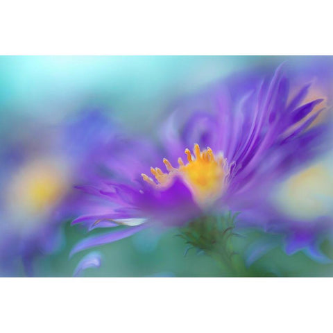 Gold and Purple in the Mist IV Gold Ornate Wood Framed Art Print with Double Matting by Hunt, Gillian