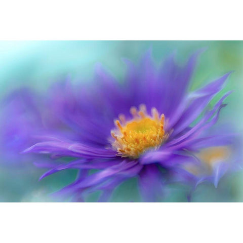 Gold and Purple in the Mist V Black Modern Wood Framed Art Print by Hunt, Gillian