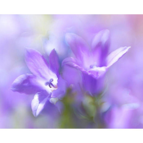 Ring the Bells of Change I Gold Ornate Wood Framed Art Print with Double Matting by Hunt, Gillian