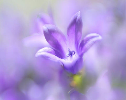 Ring the Bells of Change II White Modern Wood Framed Art Print with Double Matting by Hunt, Gillian