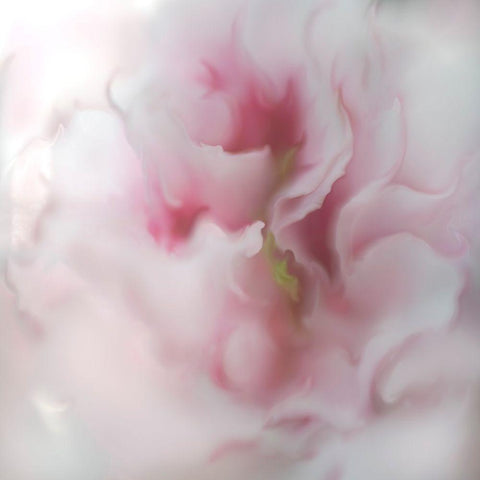 Hope in Pink IV White Modern Wood Framed Art Print with Double Matting by Hunt, Gillian