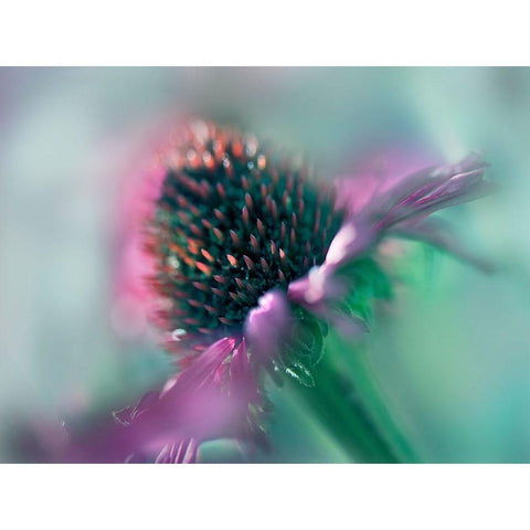 Sing to the Sun IV Gold Ornate Wood Framed Art Print with Double Matting by Hunt, Gillian