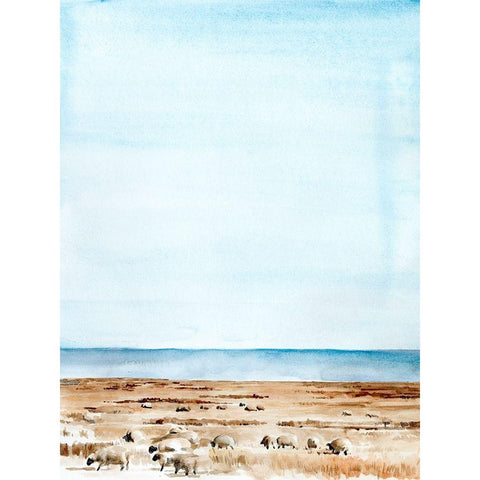 Scottish Ewes I White Modern Wood Framed Art Print by Parker, Jennifer Paxton