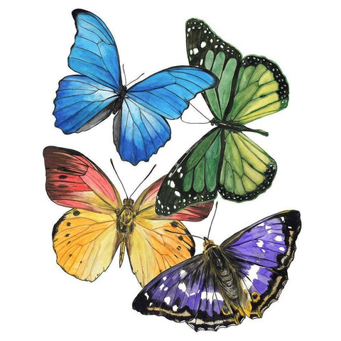 Butterfly Swatches II White Modern Wood Framed Art Print by Wang, Melissa