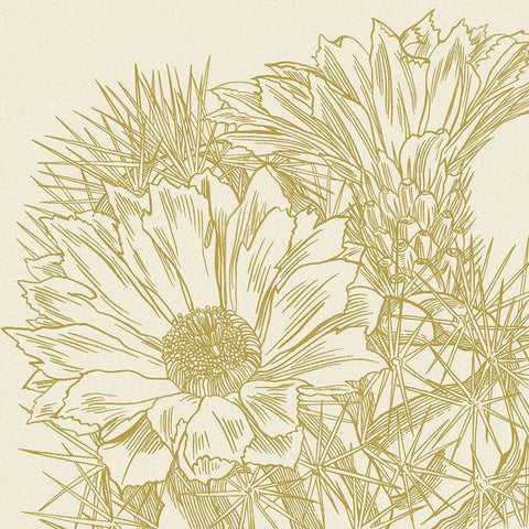 Graphic Cactus Bloom I Black Modern Wood Framed Art Print by Wang, Melissa