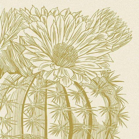 Graphic Cactus Bloom II White Modern Wood Framed Art Print by Wang, Melissa