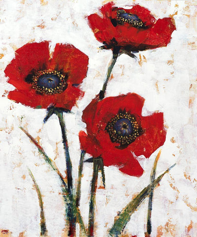 Red Poppy Fresco II White Modern Wood Framed Art Print with Double Matting by OToole, Tim