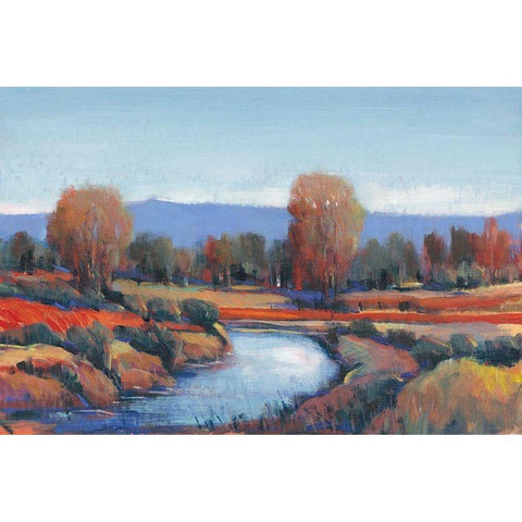 Hidden Creek II Black Modern Wood Framed Art Print with Double Matting by OToole, Tim