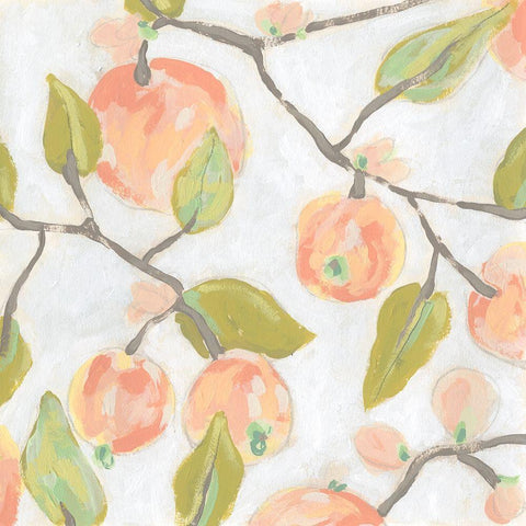 Fresh Fruit Fresco I White Modern Wood Framed Art Print with Double Matting by Vess, June Erica