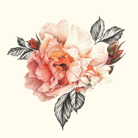 The Light of Day Rose I White Modern Wood Framed Art Print with Double Matting by Liama, Lily