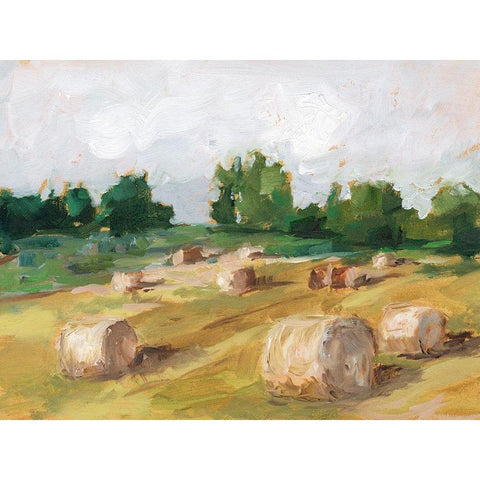 Hay Field I White Modern Wood Framed Art Print by Harper, Ethan