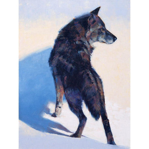 Wolf Study I Black Modern Wood Framed Art Print with Double Matting by Chapman, Julie T.