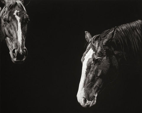Cowboy Scratchboard III White Modern Wood Framed Art Print with Double Matting by Chapman, Julie T.