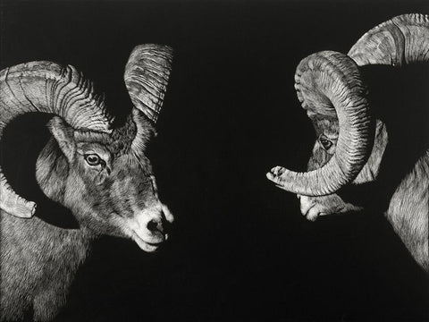 Wild Scratchboard I Black Ornate Wood Framed Art Print with Double Matting by Chapman, Julie T.