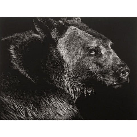 Wild Scratchboard II Black Modern Wood Framed Art Print with Double Matting by Chapman, Julie T.