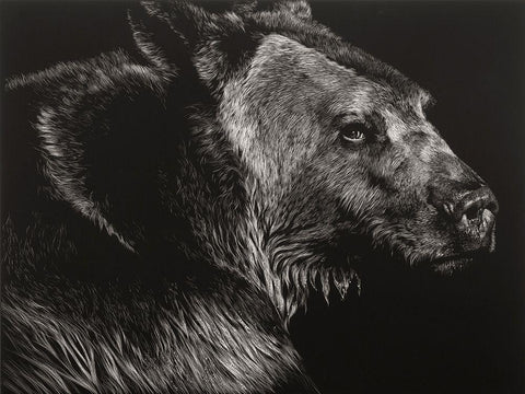 Wild Scratchboard II White Modern Wood Framed Art Print with Double Matting by Chapman, Julie T.