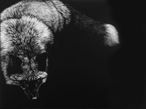Wild Scratchboard III White Modern Wood Framed Art Print with Double Matting by Chapman, Julie T.
