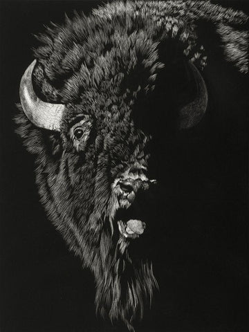 Wild Scratchboard IV Black Ornate Wood Framed Art Print with Double Matting by Chapman, Julie T.